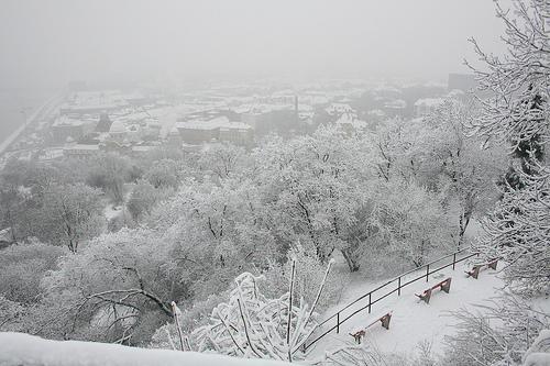 gellert_winter.jpg